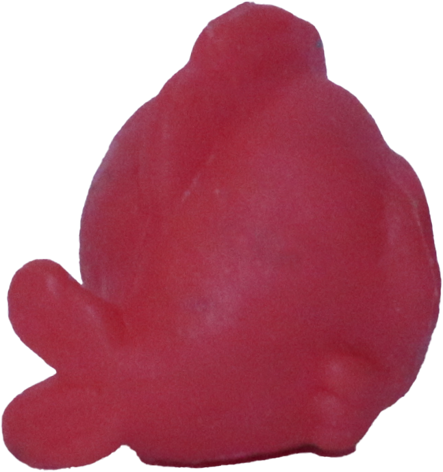Unknown # Teensy Fish