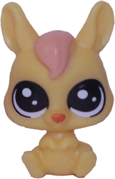 No # Teensy Kangaroo "Night Sky"