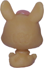 No # Teensy Kangaroo "Night Sky"