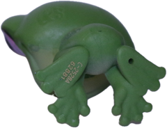 #42 Frog "Viridia Jadegleam"