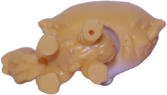 #45 Cat "Daffodil Selkirk"