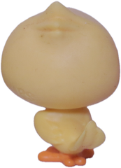 #2-S2 Cardinal "Sparks Cardinale"