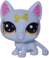 No # Kitten "Lyric"
