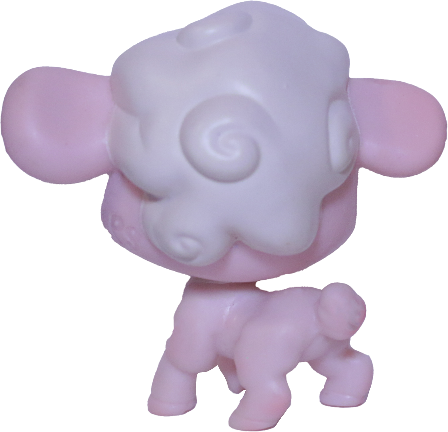 #101 Lamb "Cottontop Curlicue"