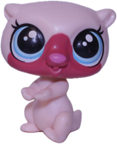 #142 Otter "Vista Lutro"