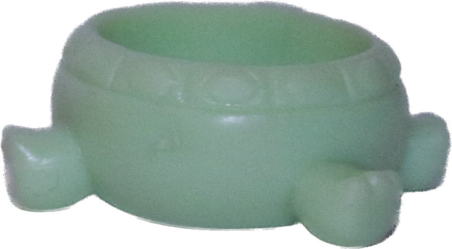 Teensies Turtle Floatie