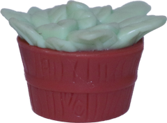Plant Pot