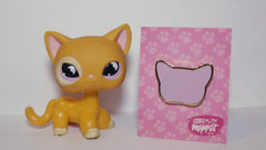 Big Five Pin - Shorthair Cat