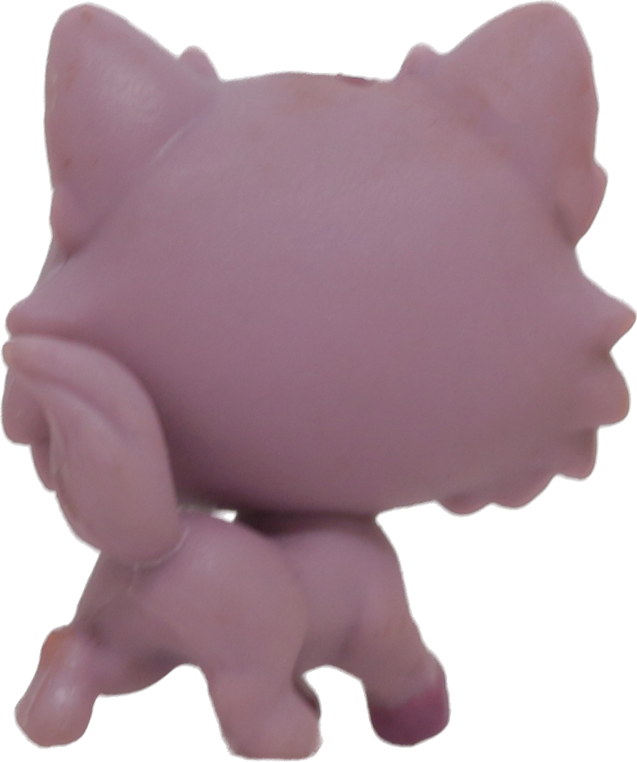#262 Mini Kitten