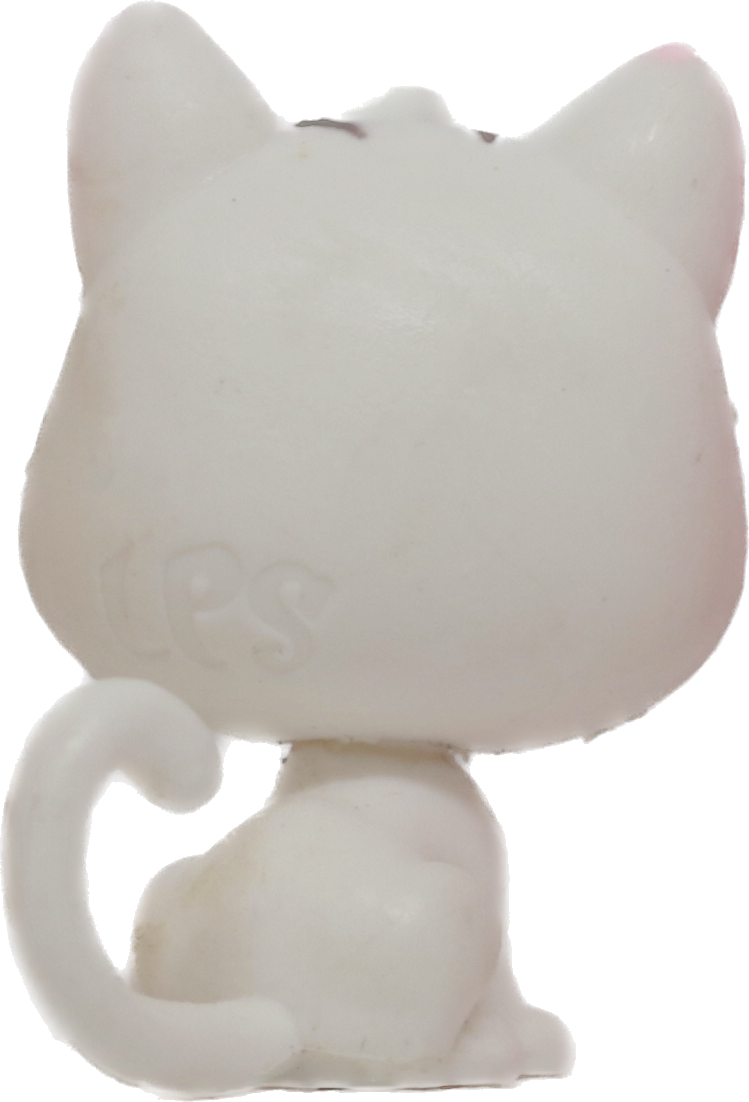 #1-2 Mini Kitten