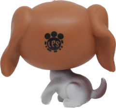 #231 Beagle