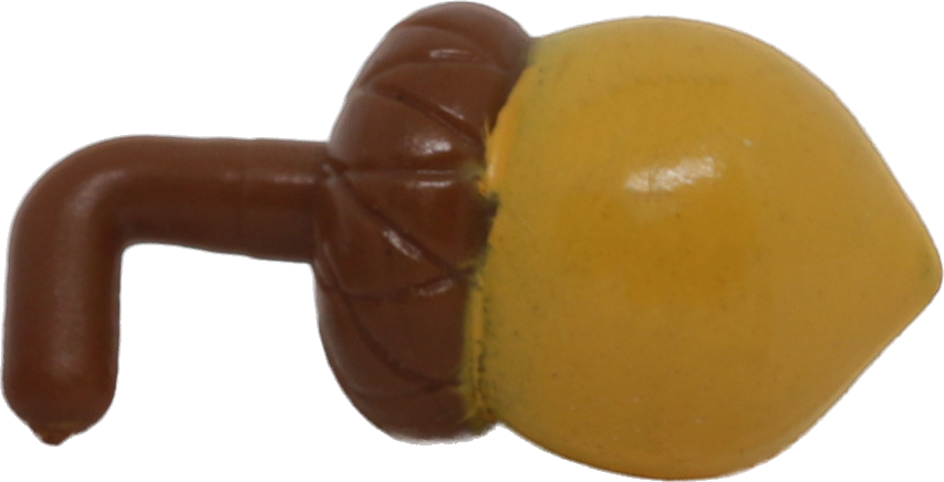 Acorn