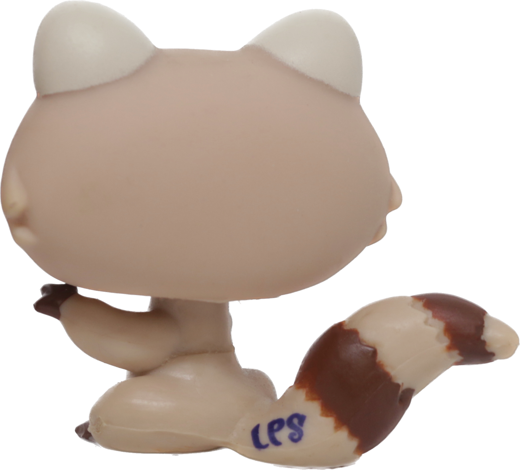#1348 Raccoon