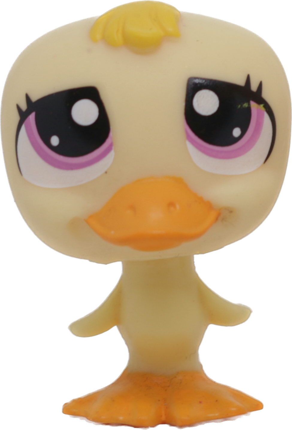 #1374 Duck