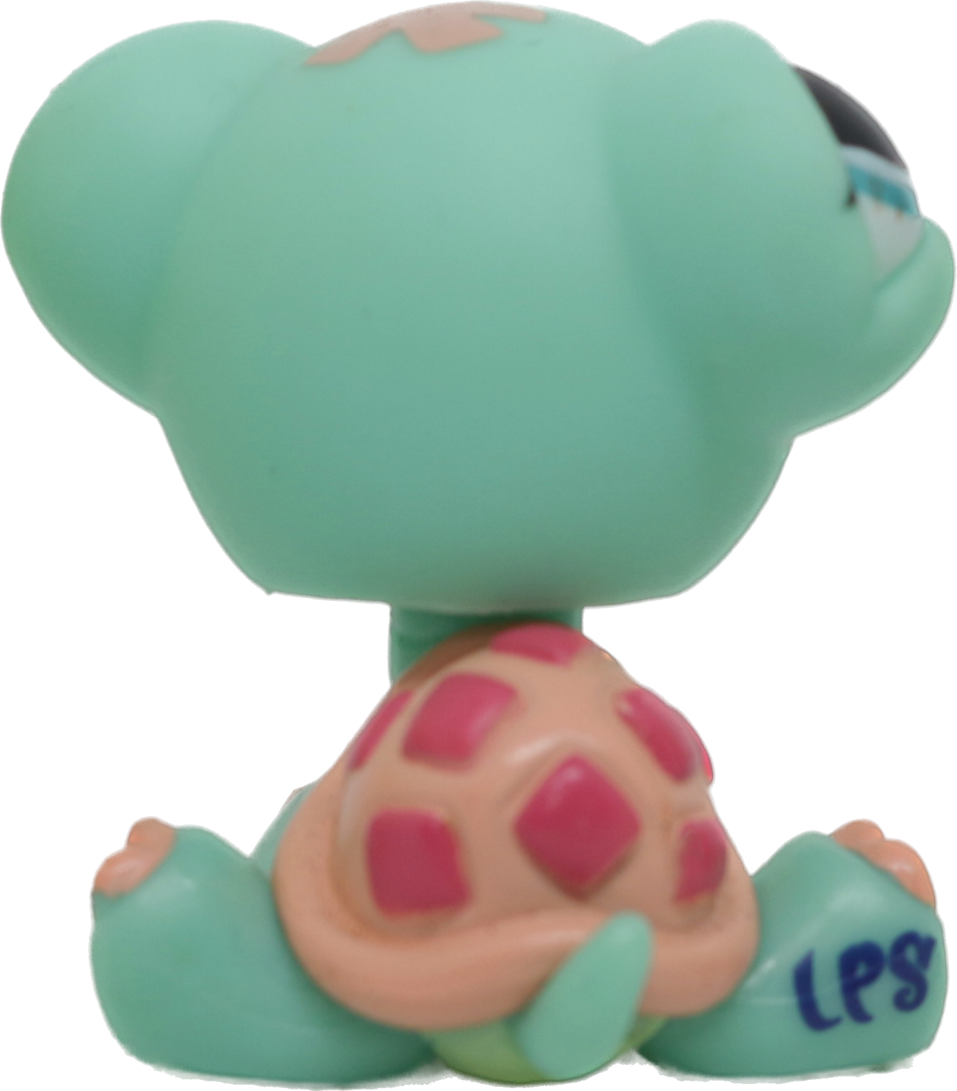 #1887 Turtle