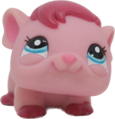#2604 Guinea Pig