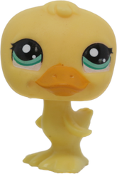 #2436 Duck