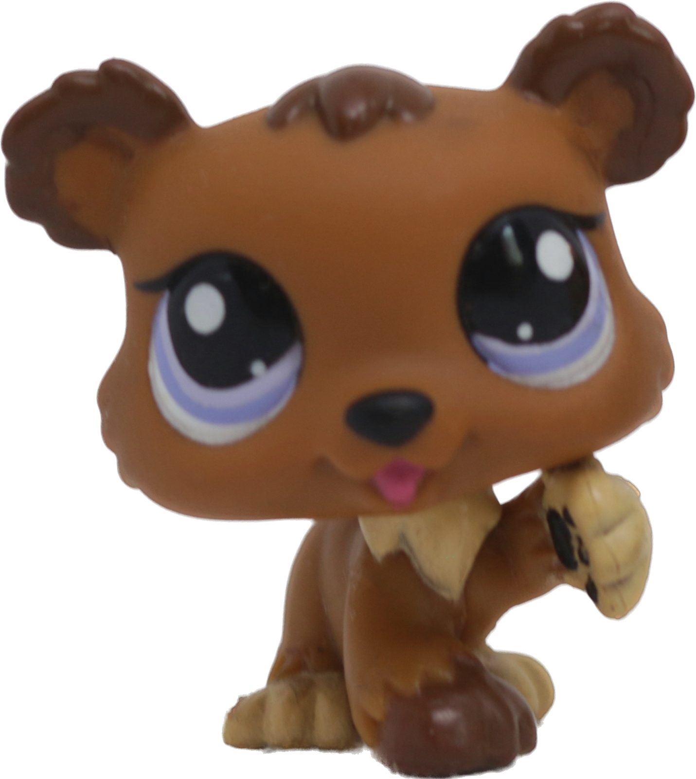 #1556 Bear