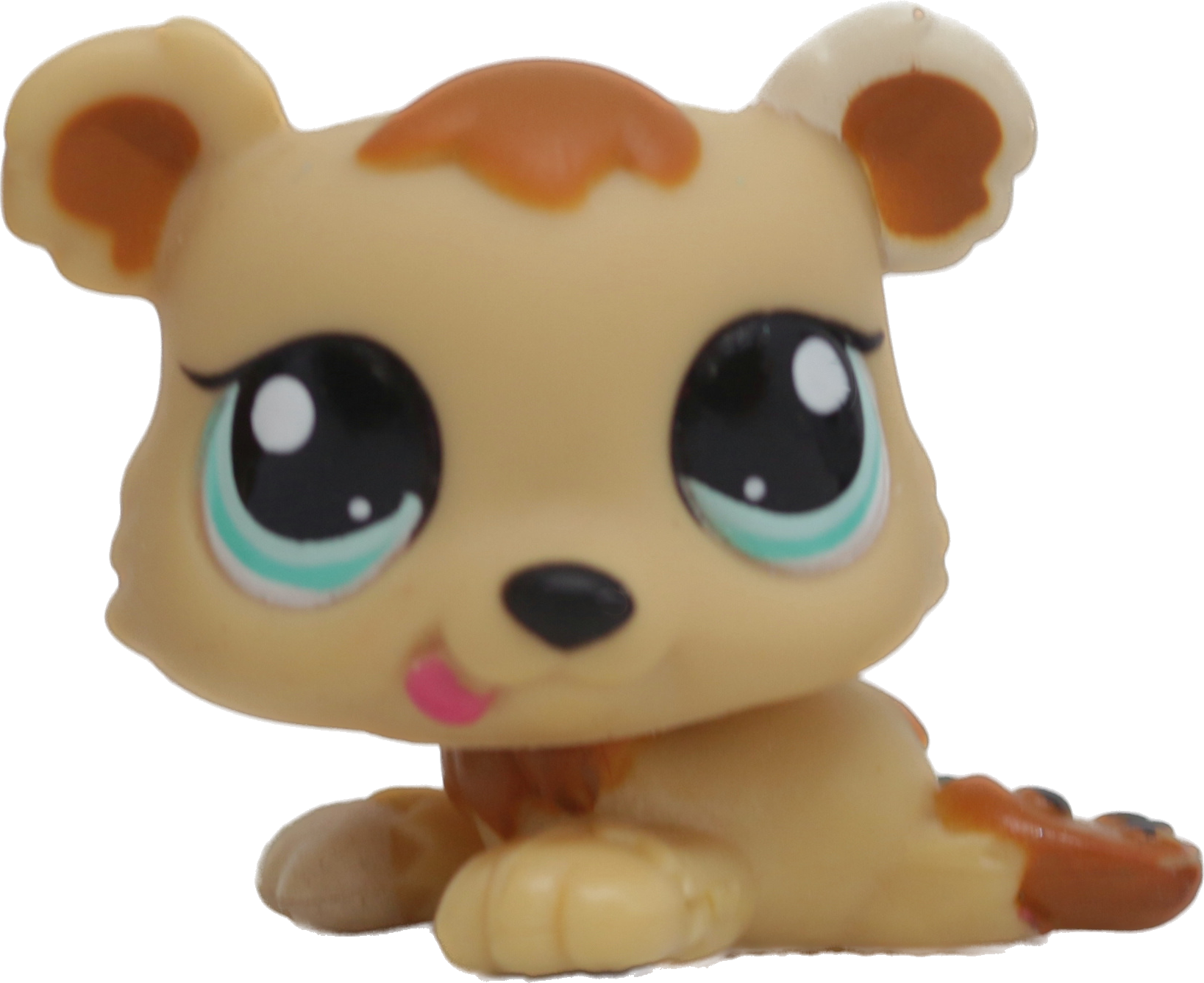 #1554 Bear