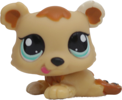 #1554 Bear