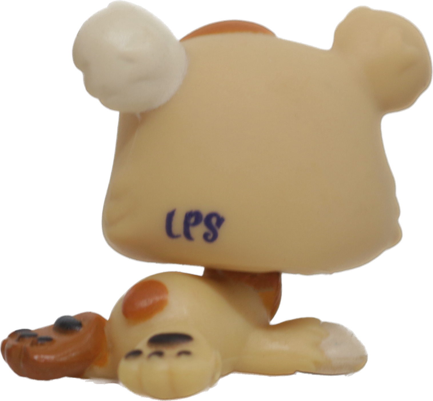 #1554 Bear