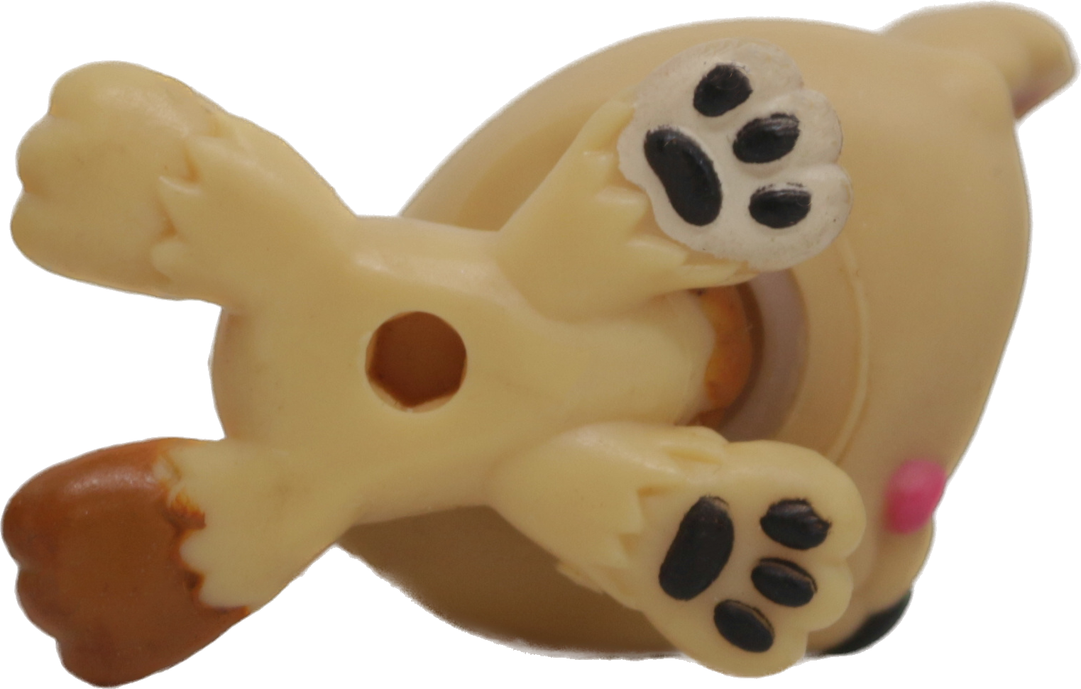 #1554 Bear