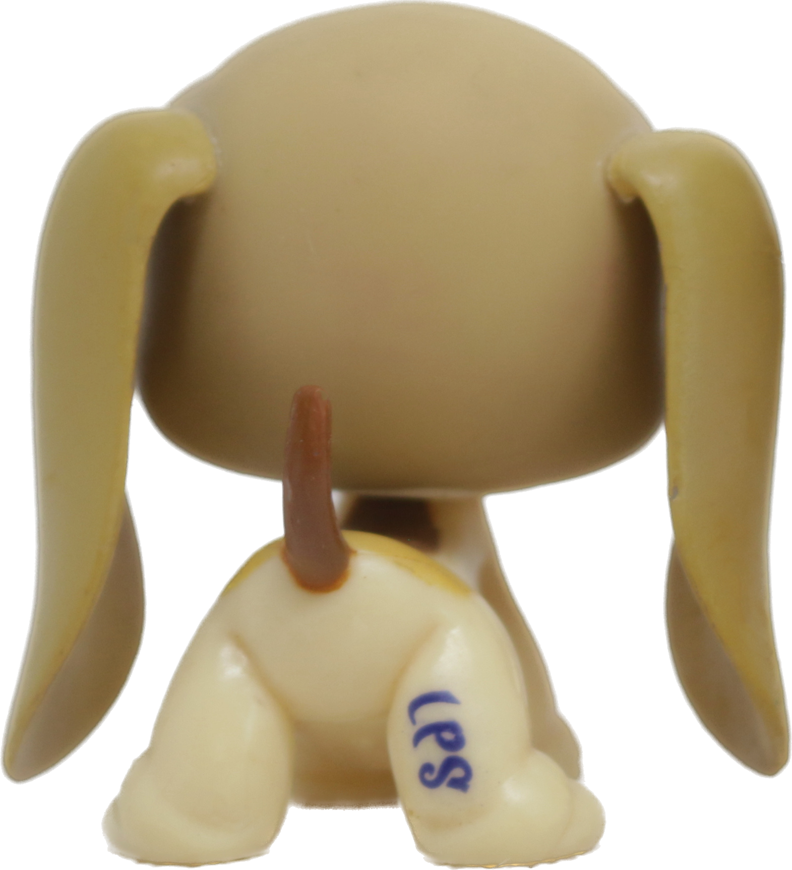 #1465 Basset Hound
