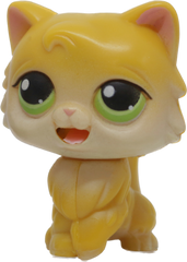 #MM1 Persian Cat