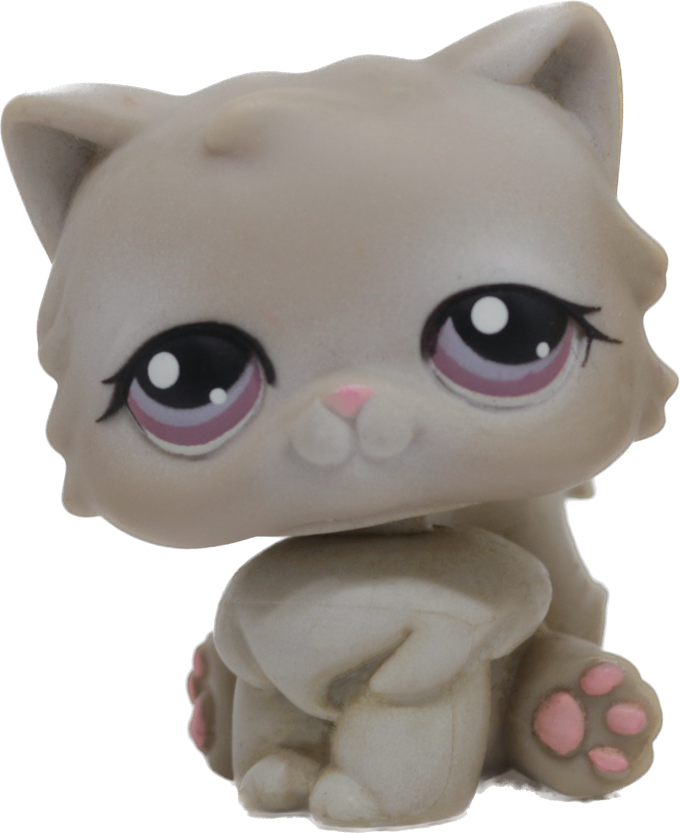 #0263 Persian Cat