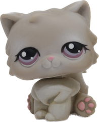#0263 Persian Cat