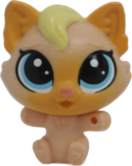 #239 Mini Kitten