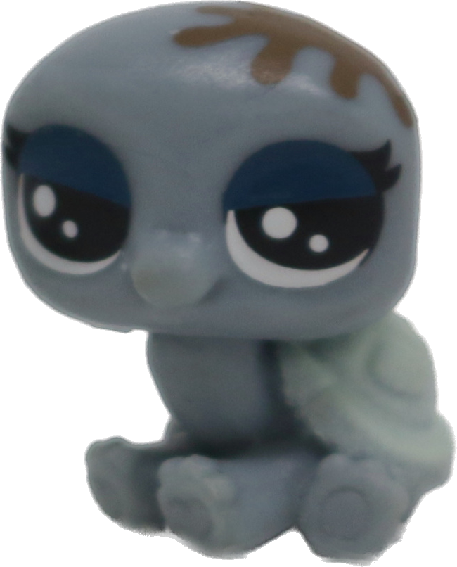 #2-56 Teensy Turtle "Turtelo Scrapper"