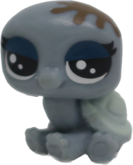#2-56 Teensy Turtle "Turtelo Scrapper"