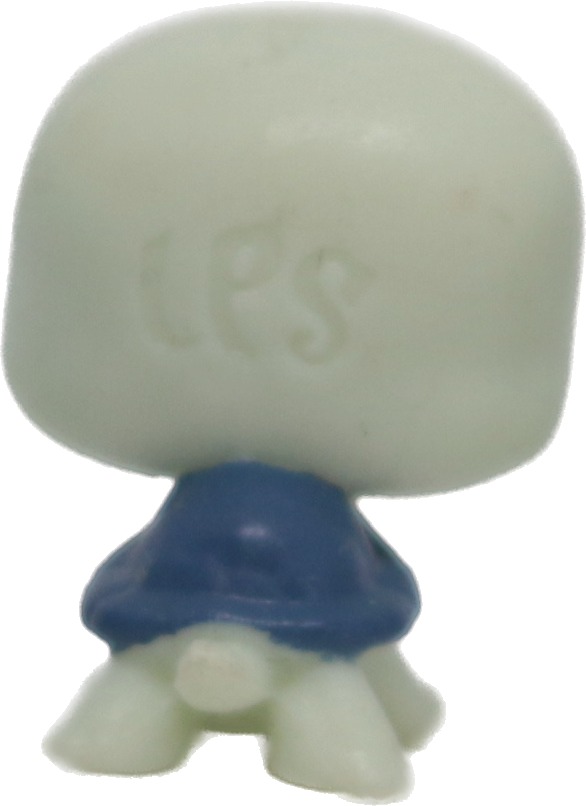 #2-55 Teensy Turtle