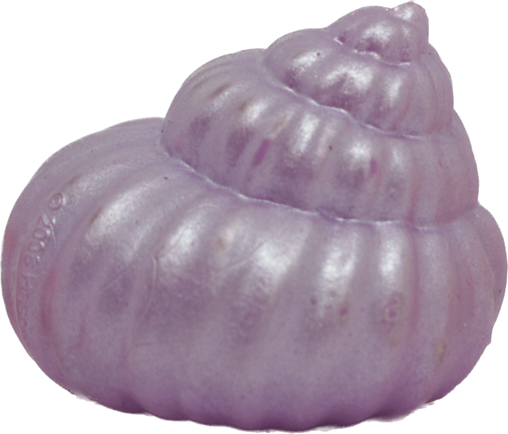 Seashell