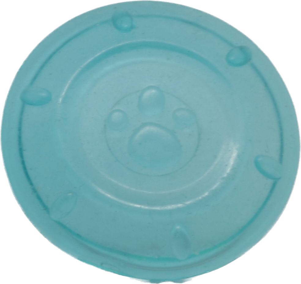 Translucent Frisbee