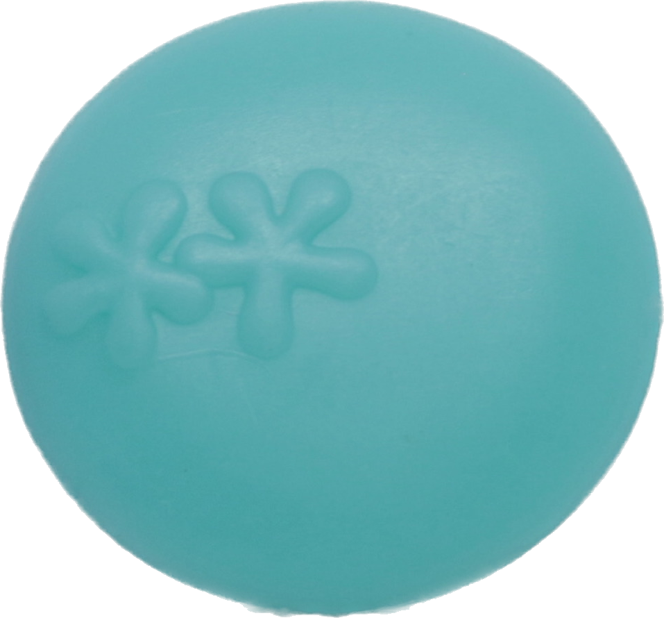Frisbee