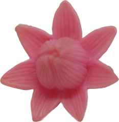 Lily Flower
