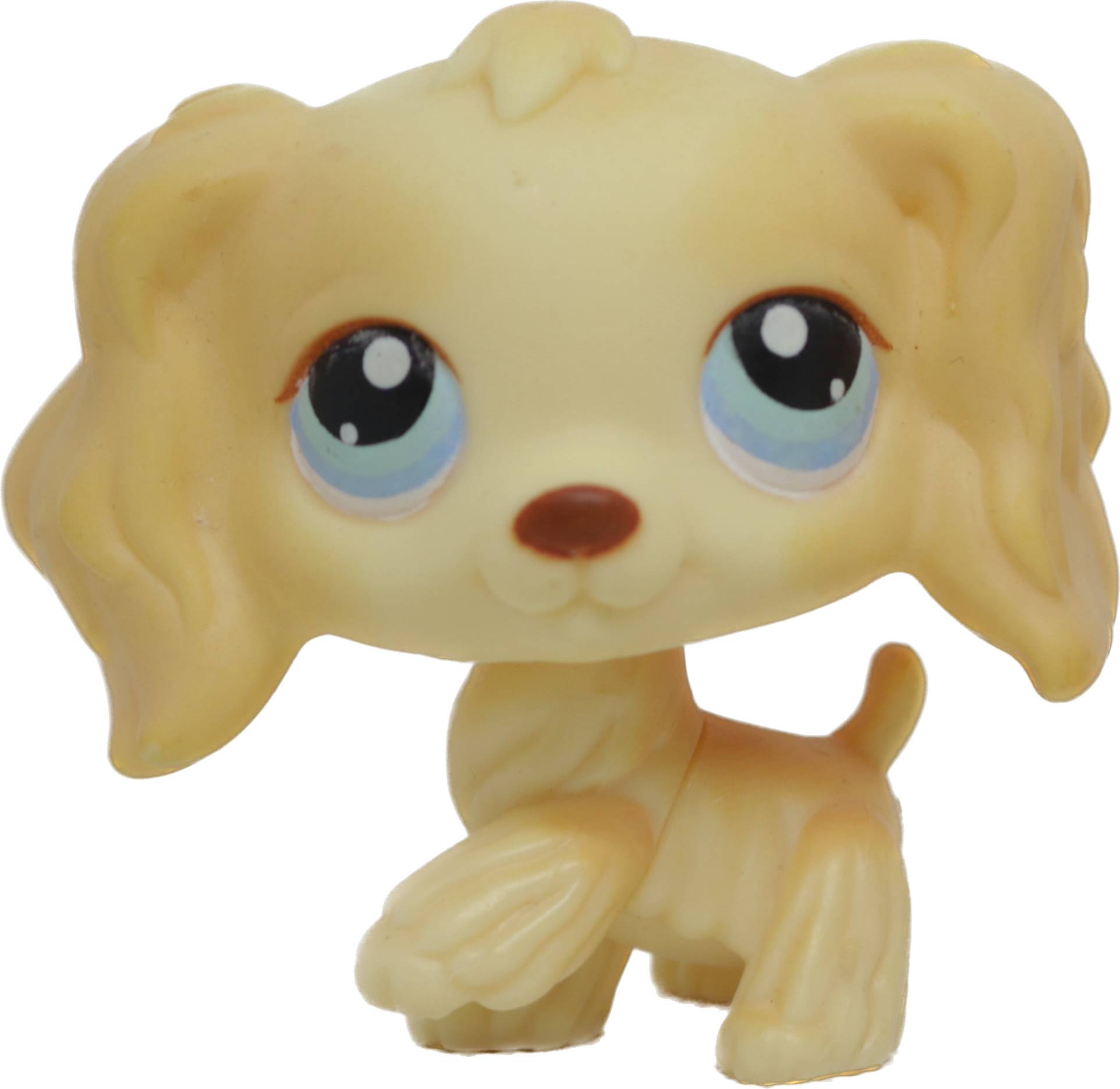 #0091 Cocker Spaniel