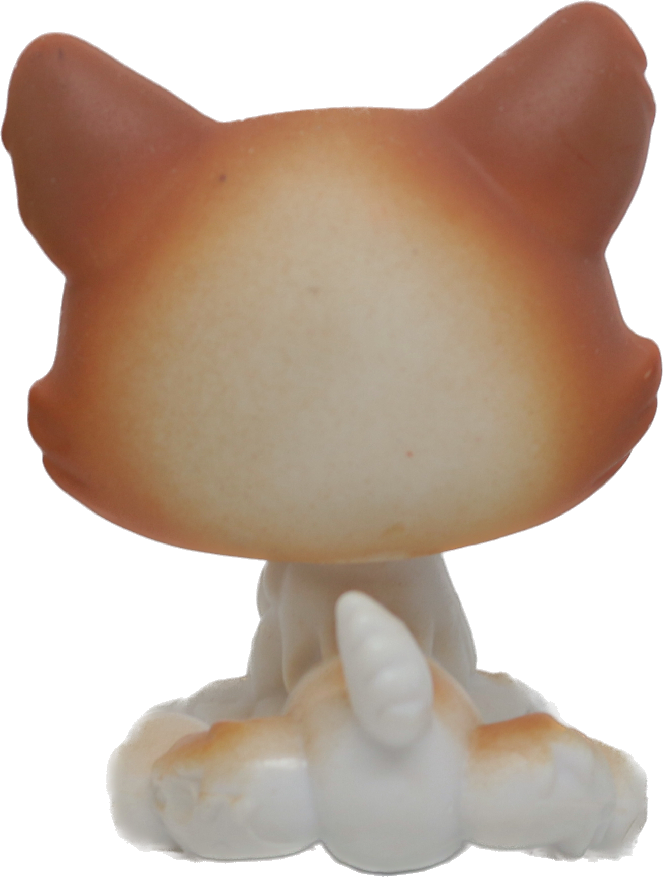 #0037 Husky