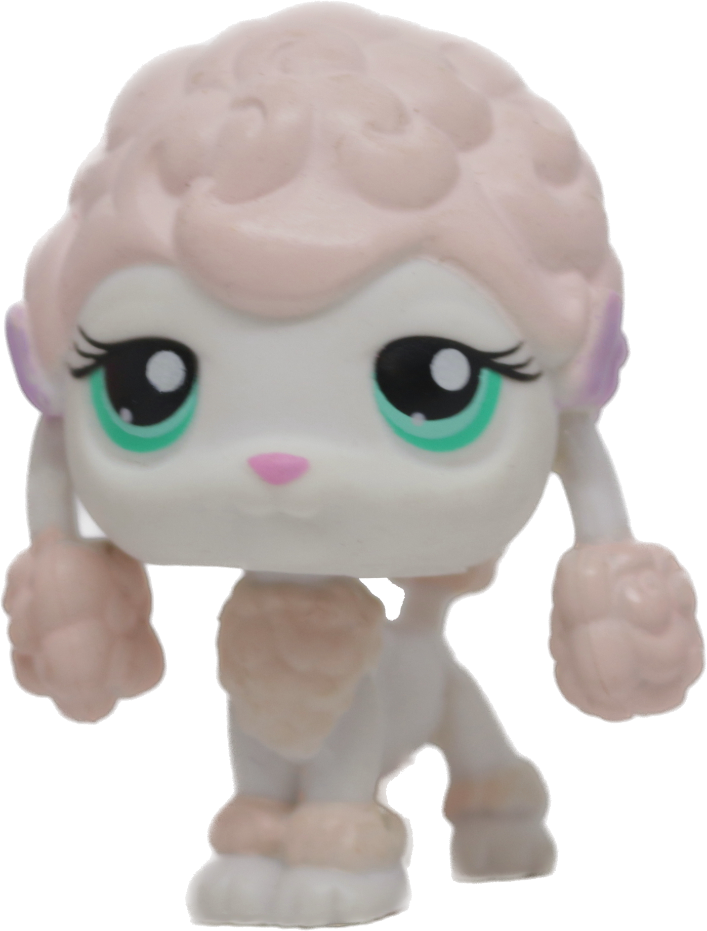 #0152 Poodle
