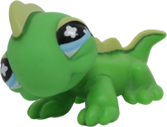 #0651 Iguana