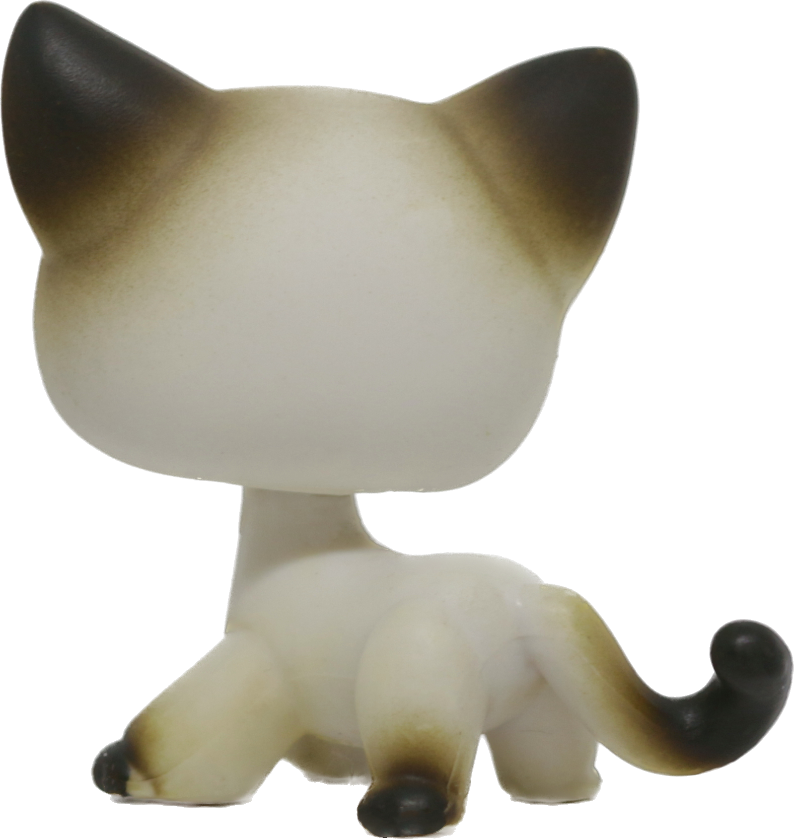 #0005 Shorthair Cat