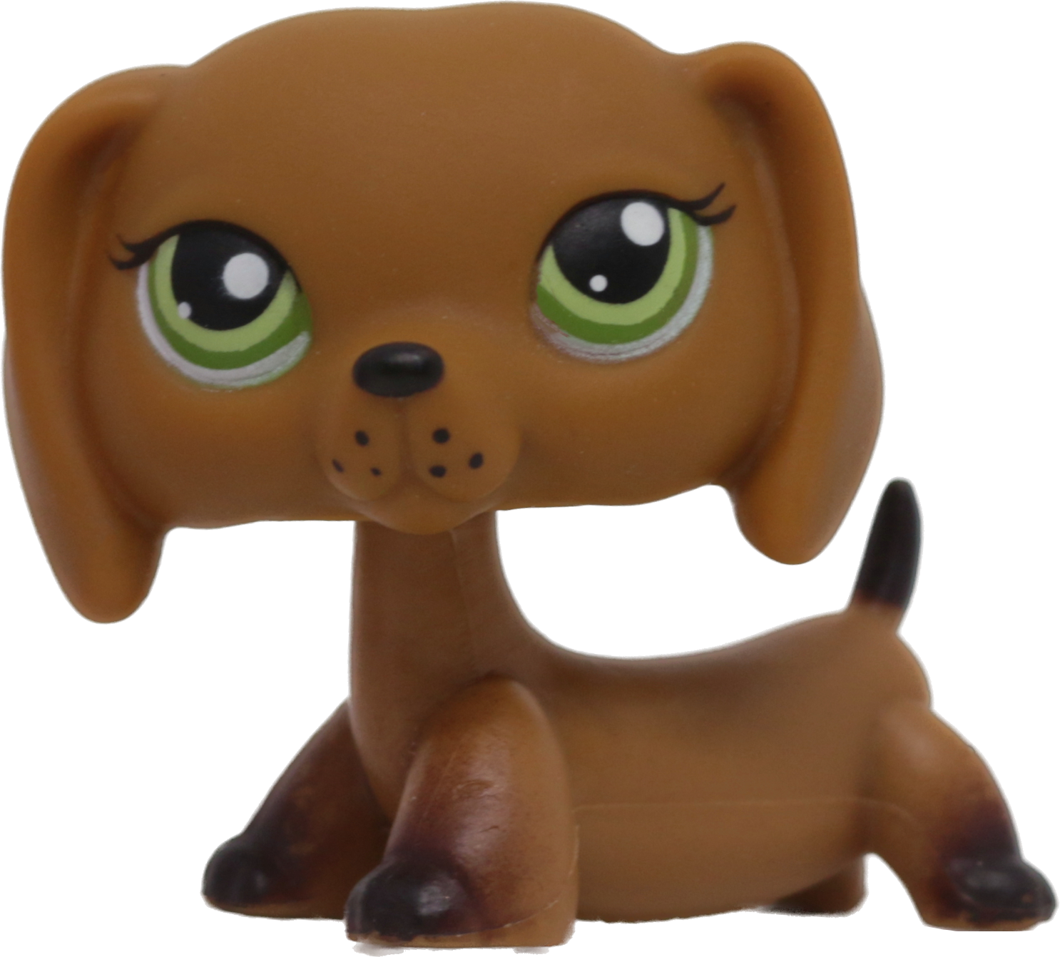 #0139/307 Dachshund