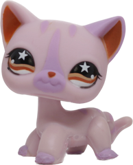 #0933 Shorthair Cat