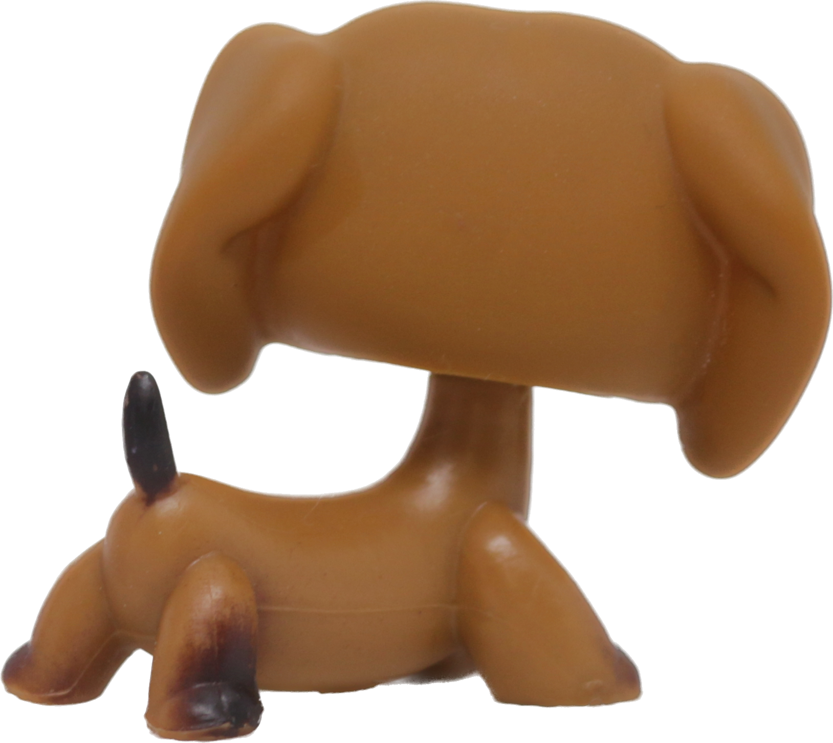 #0139/307 Dachshund