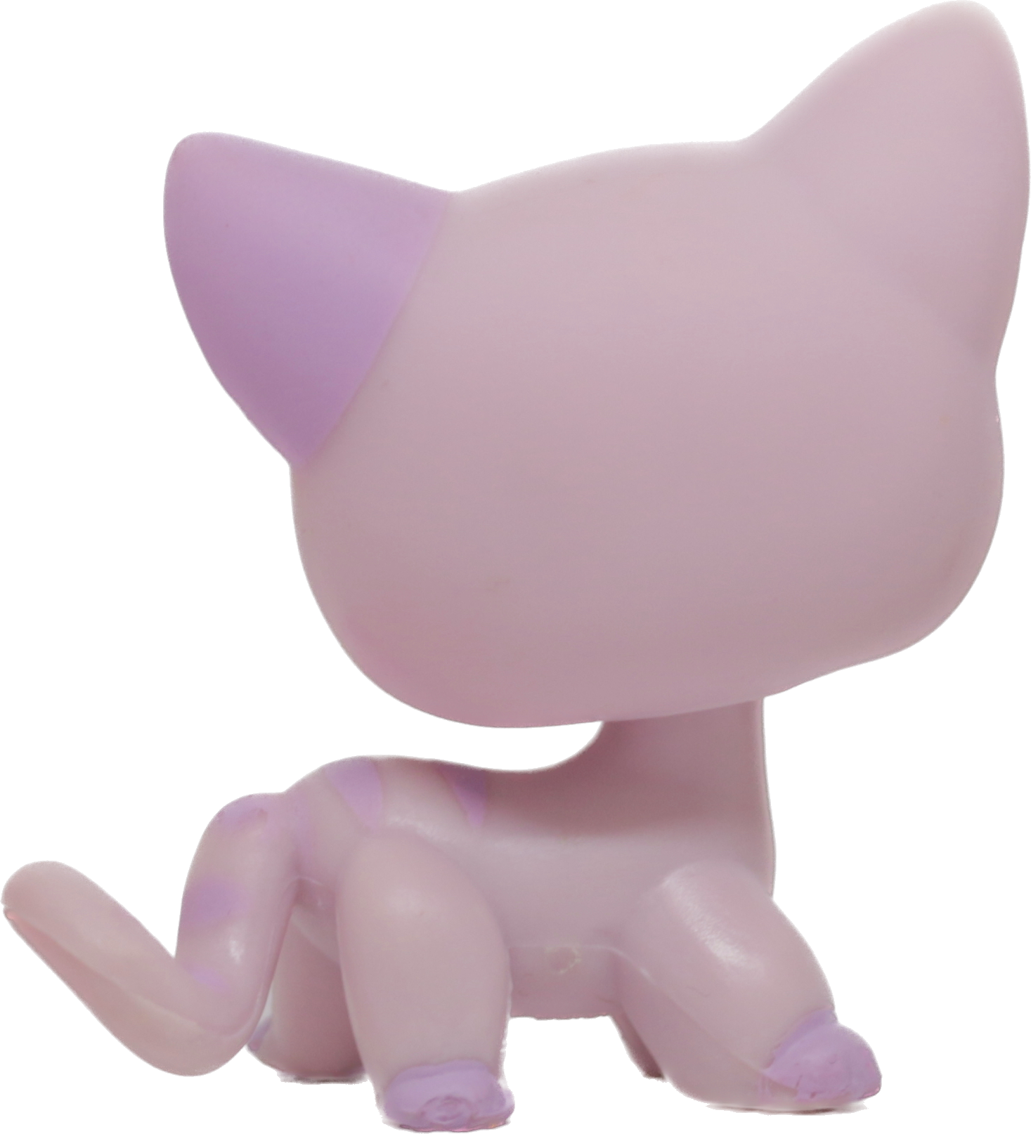 #0933 Shorthair Cat