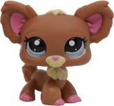 #1623 Chihuahua