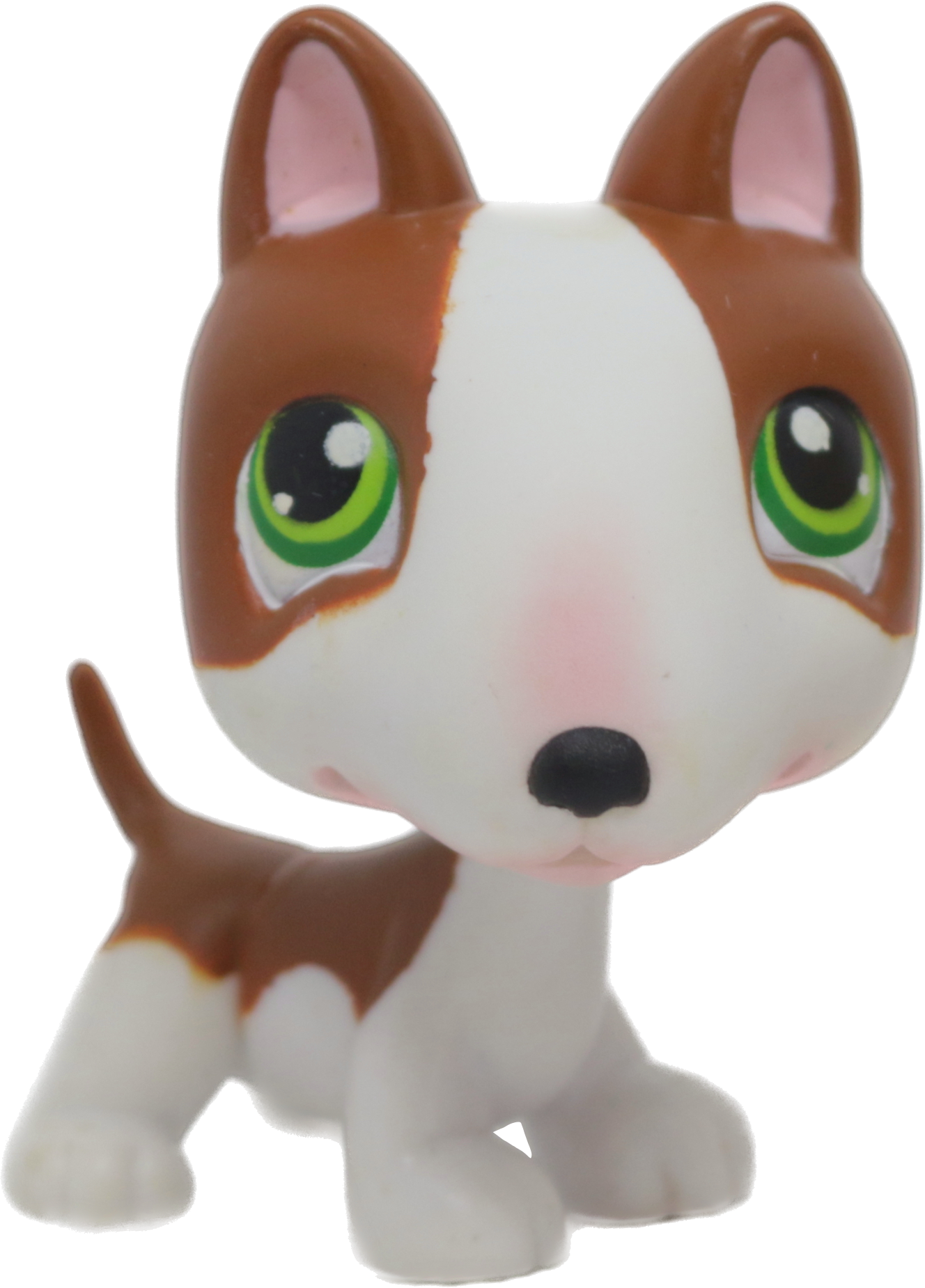 #0154 Bull Terrier