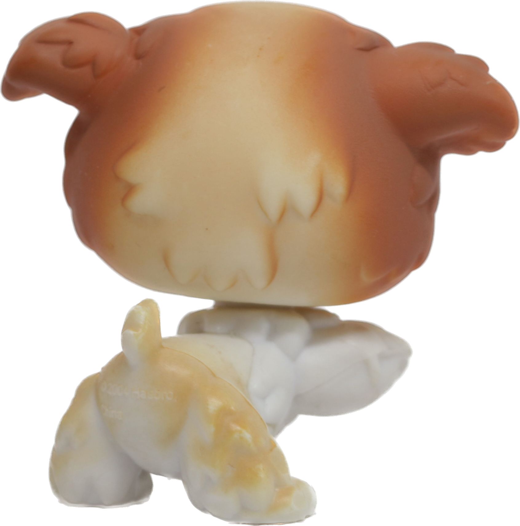 #0037 Poodle Puppy
